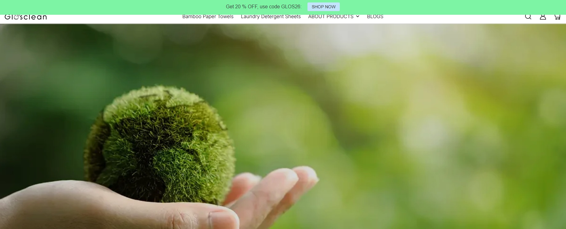 Program partnerski Glosclean