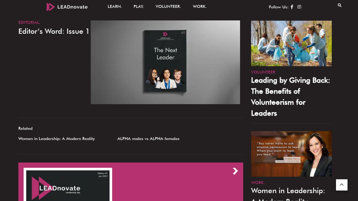 Program partnerski Leadnovate