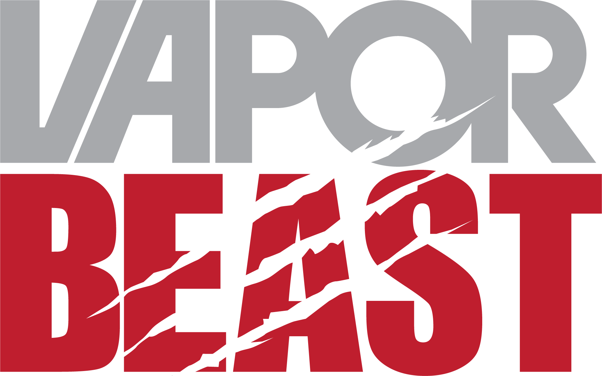 Program partnerski VaporBeast