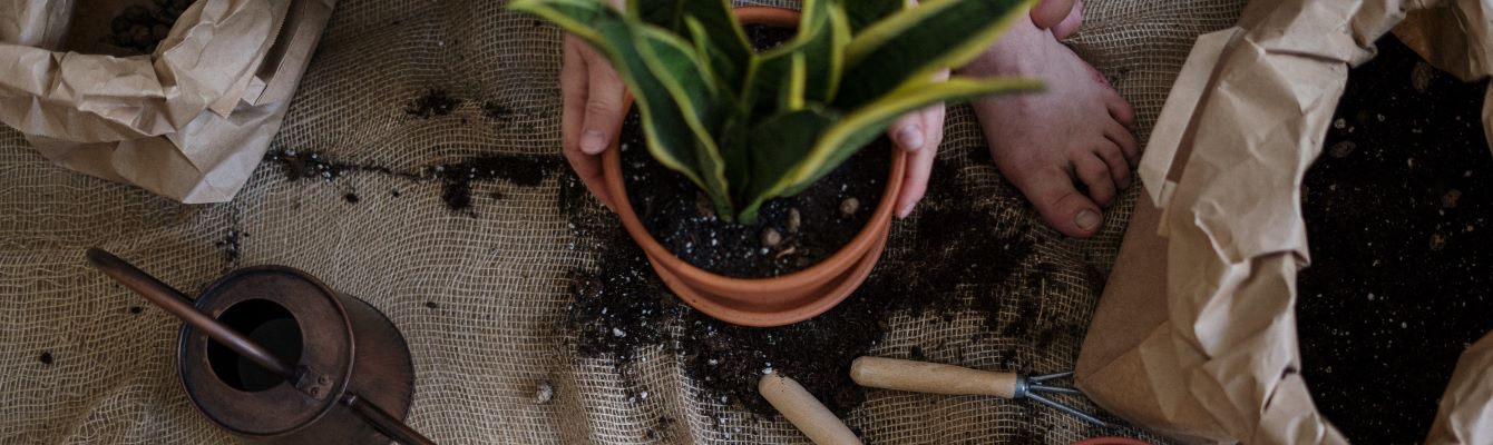 Dlaczego warto używać marketingu afiliacyjnego w branży dom i ogród