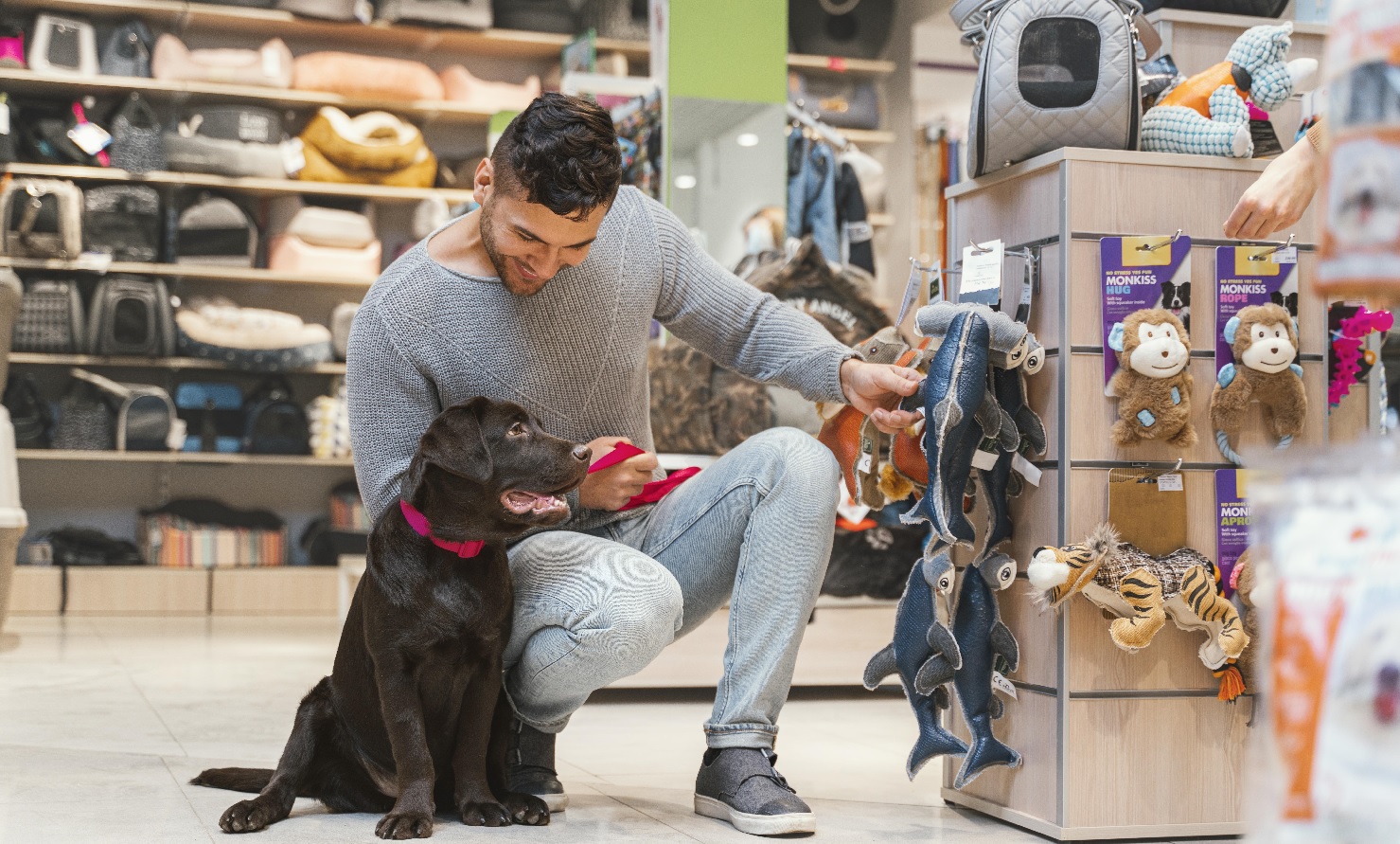 20 najlepszych programów partnerskich dla branży zoologicznej w 2025 roku