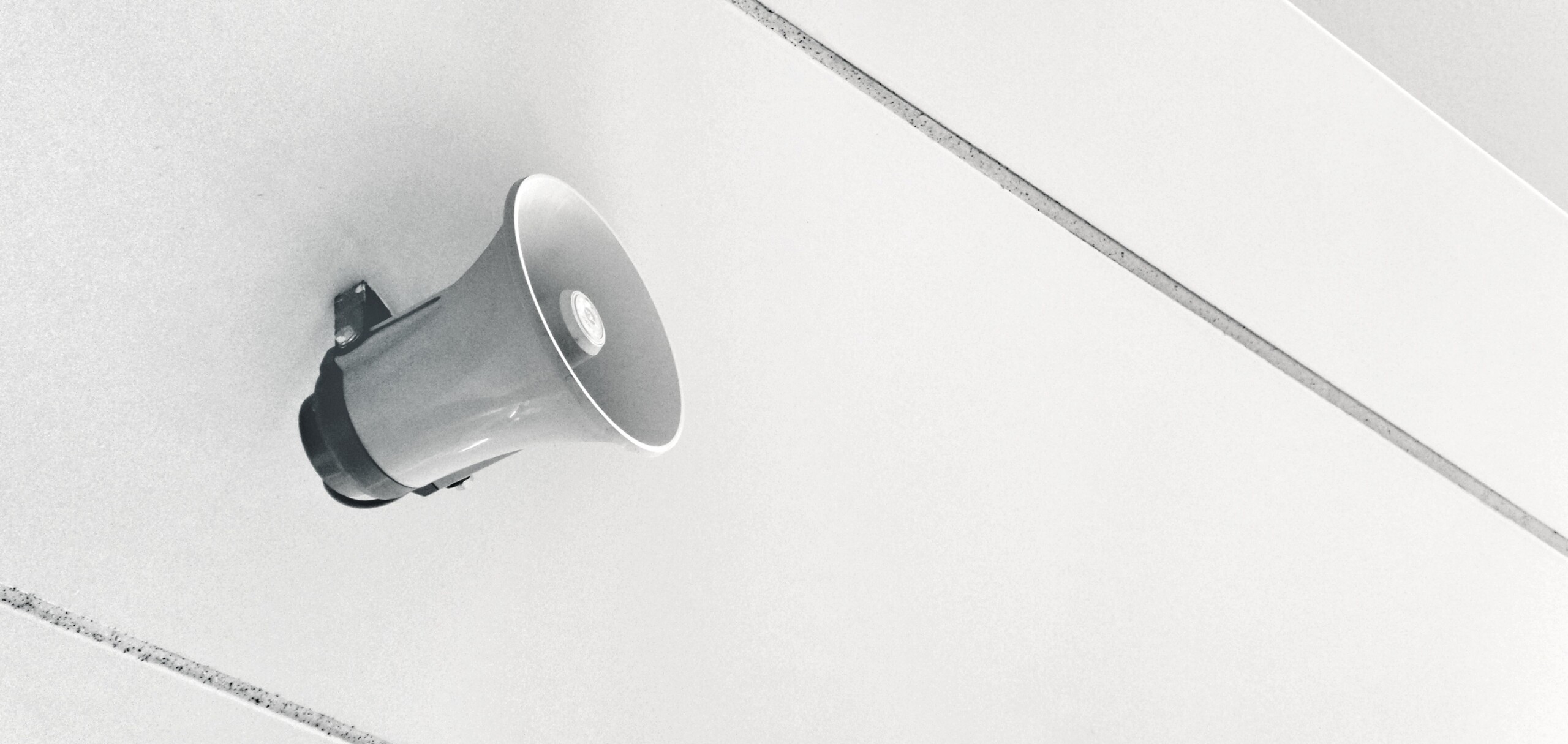 Jak promować program partnerski B2B w 2025 roku [bez budżetu]