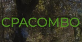 Kontakt z Działem Partnerskim CPACOMBO