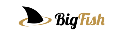 Kontakt do Działu Partnerskiego Bigfish Partners - Affiliate Manager