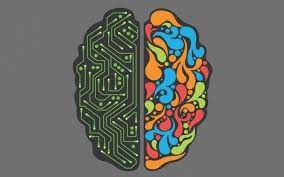 Kontakt do Działu Partnerskiego Curiosando - Affiliate Manager