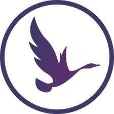 Kontakt do Działu Afiliacyjnego OdinSchool