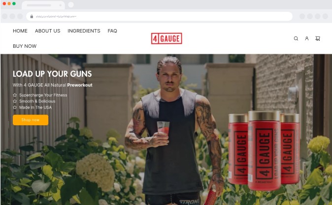 Program partnerski 4 Gauge