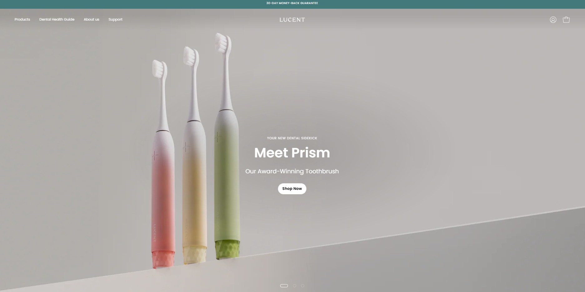 Program partnerski Be Lucent