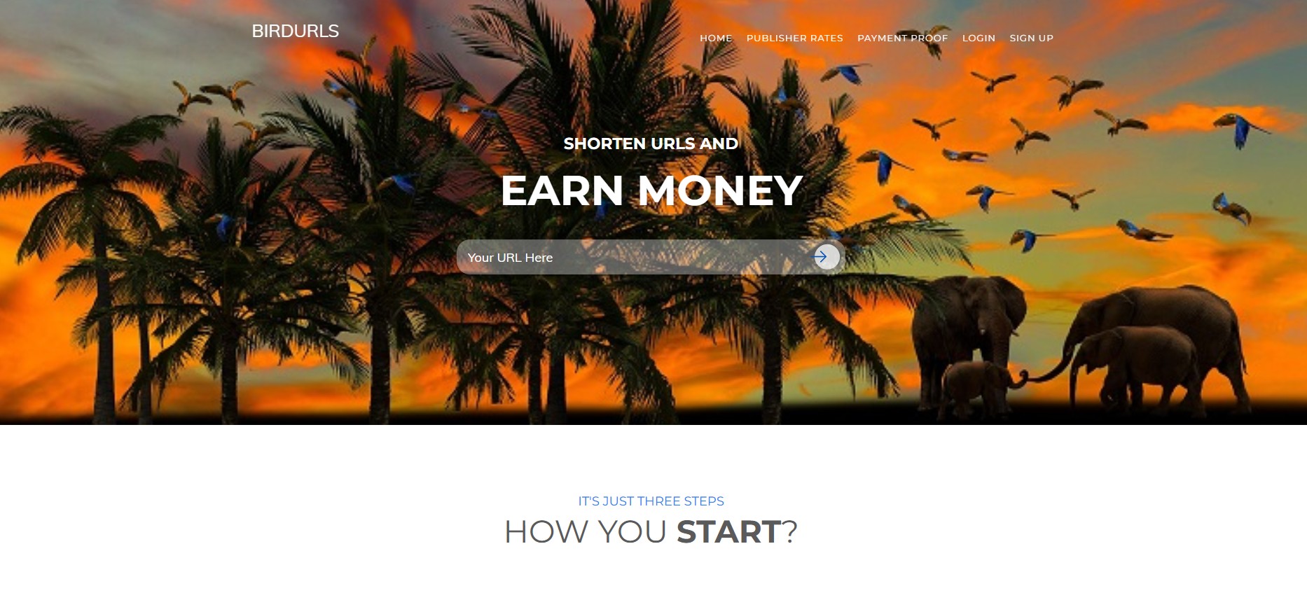 Program partnerski BirdUrls