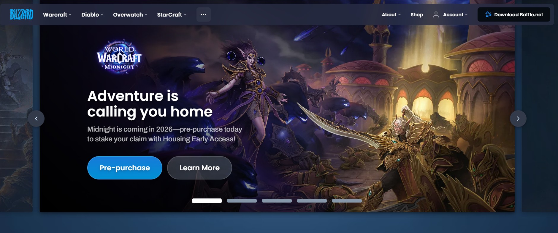 Program partnerski Blizzard