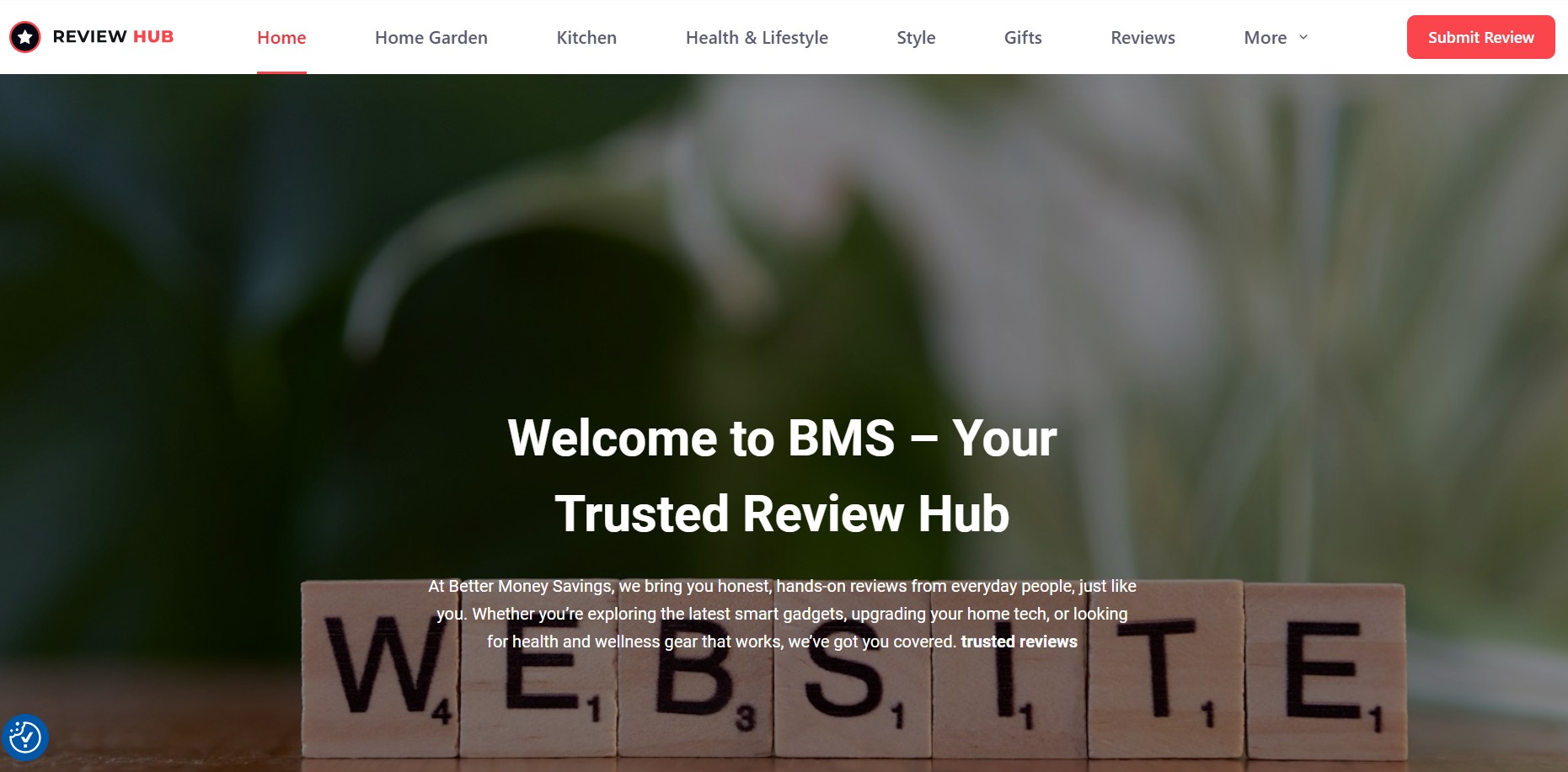 Program partnerski BMS Network