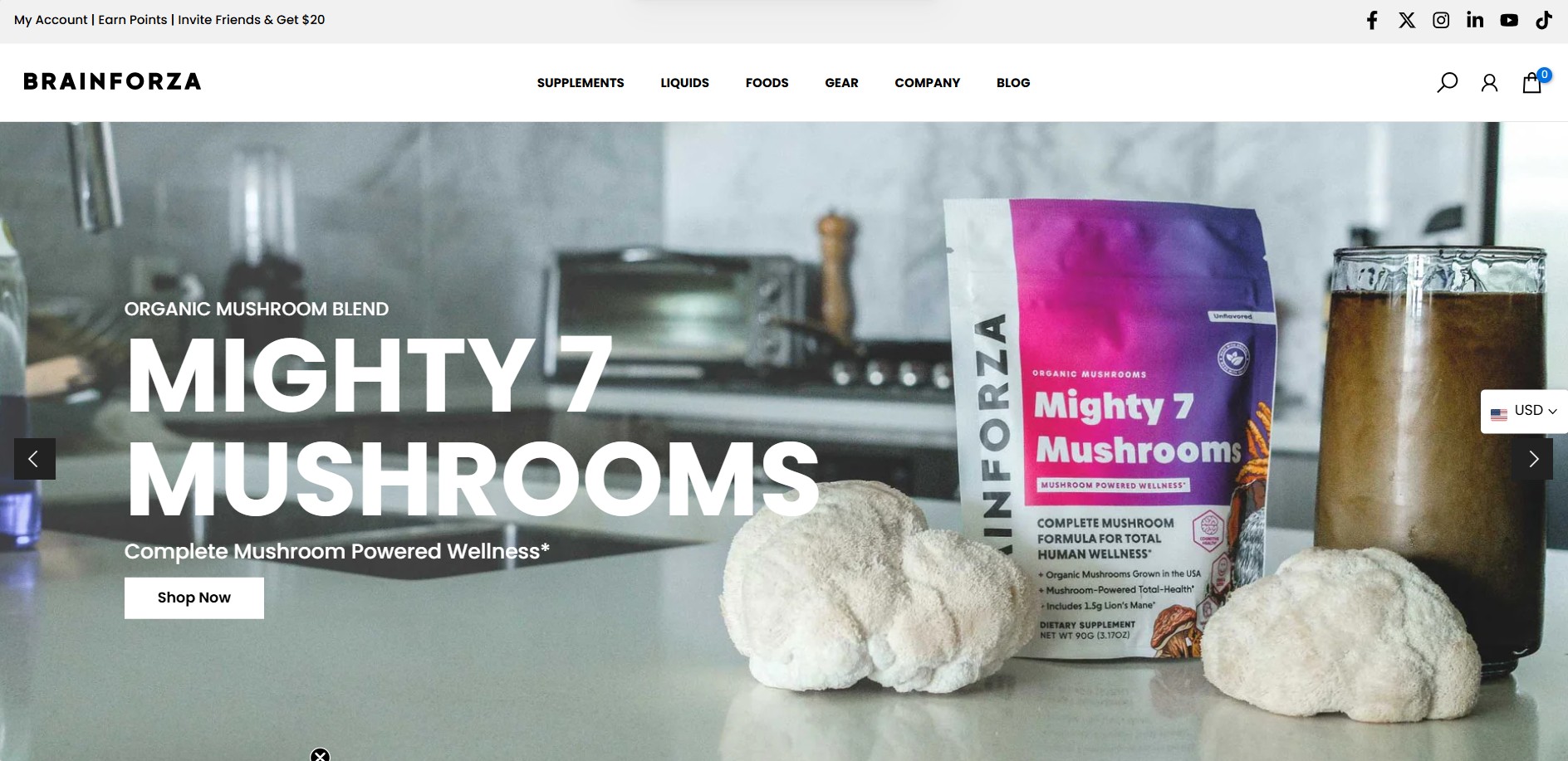 Program partnerski Brain Forza