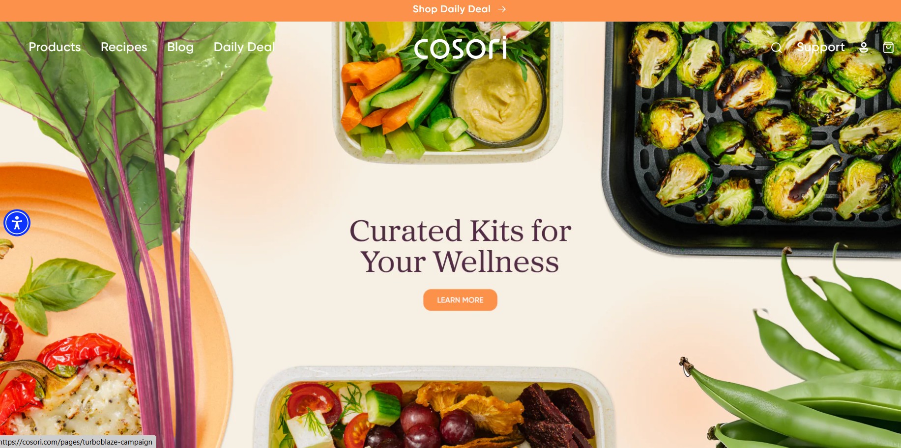 Program partnerski COSORI