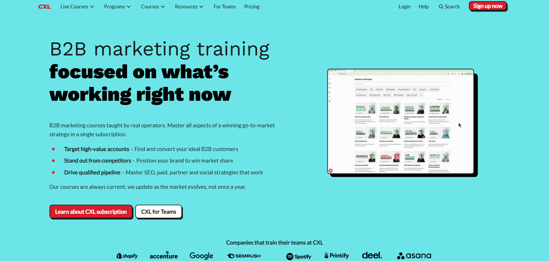 Program partnerski CXL