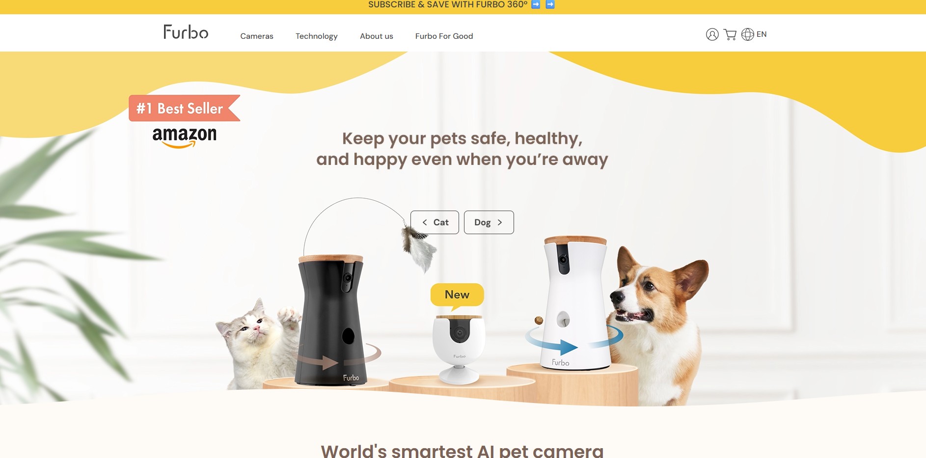 Program partnerski Furbo