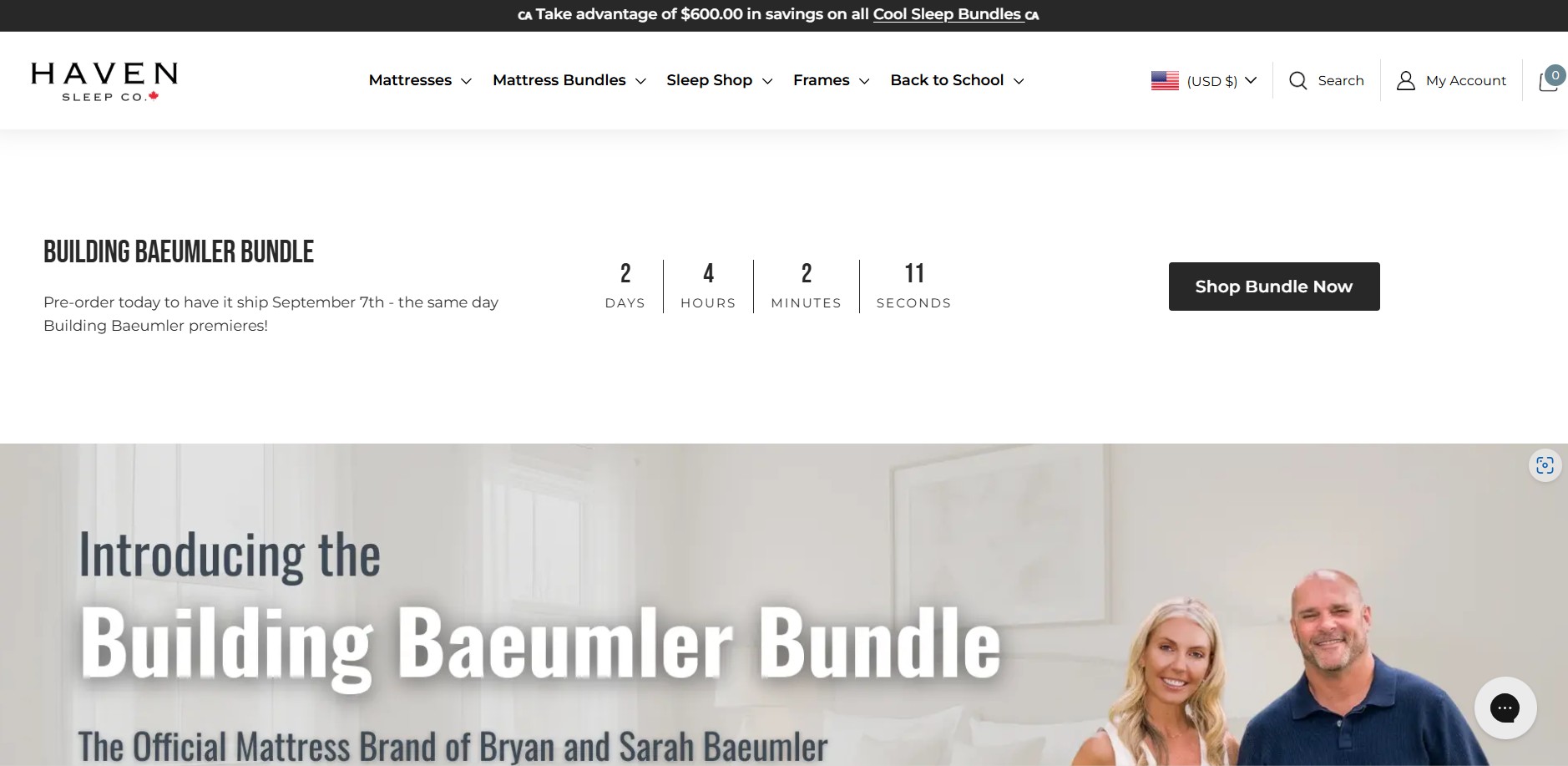 Program partnerski Haven