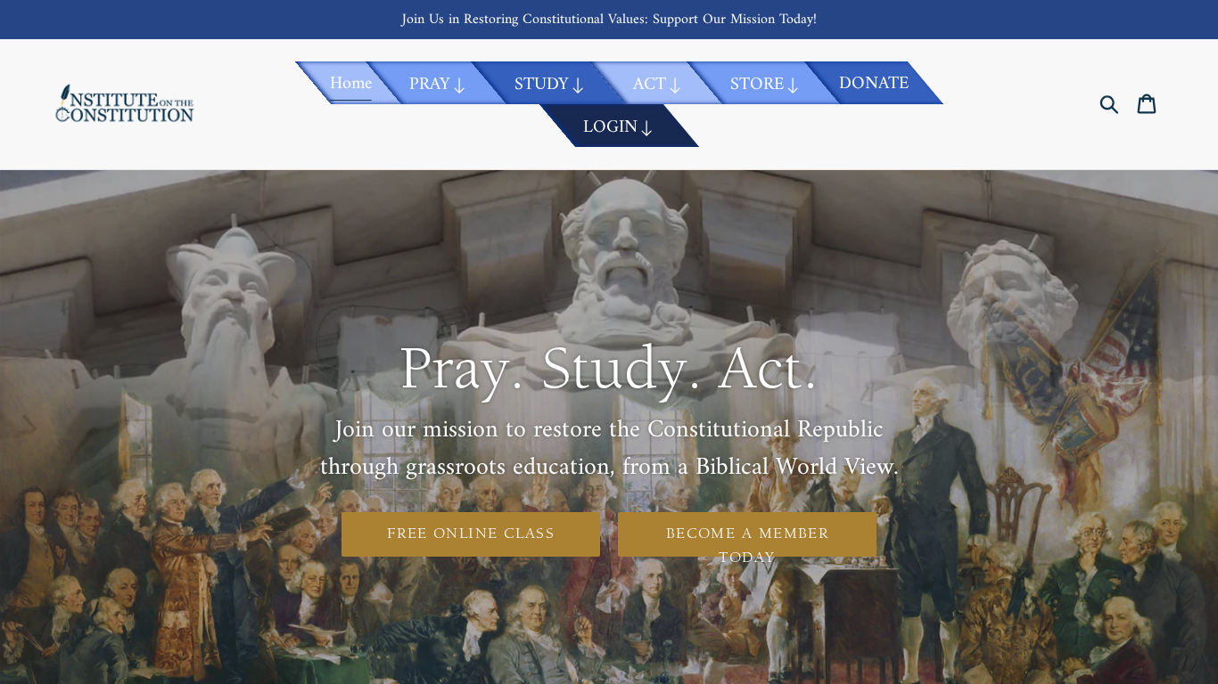 Program partnerski Institute on the Constitution
