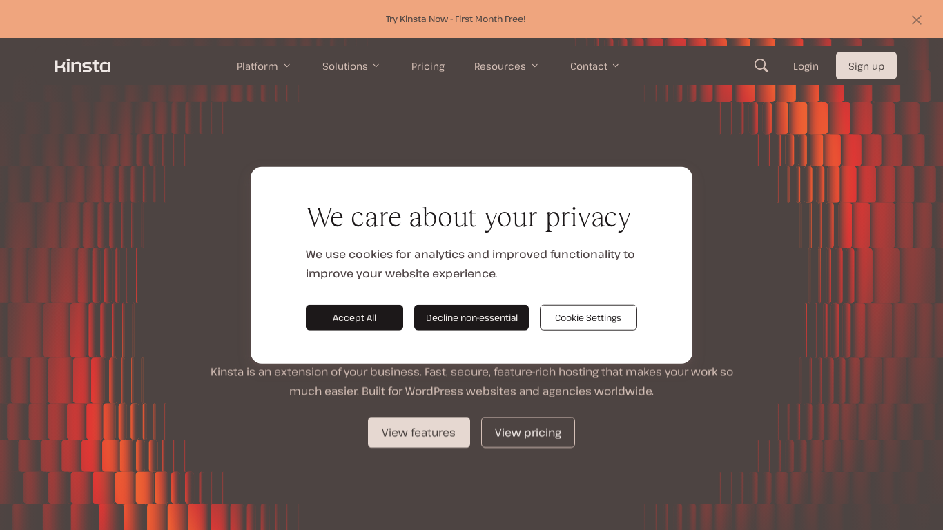 Program partnerski Kinsta