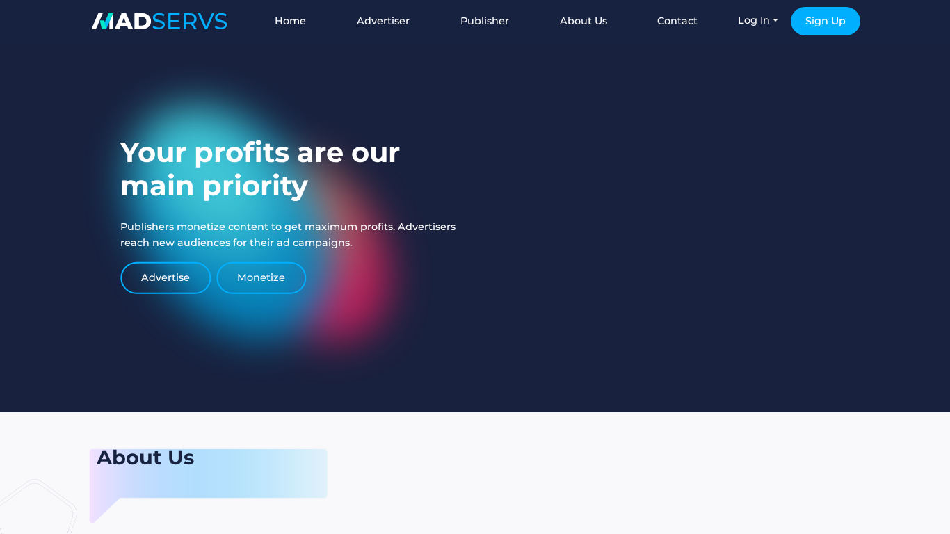 Program partnerski Madservs