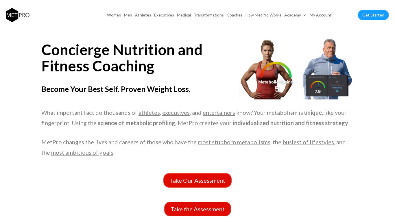 Program partnerski MetPro