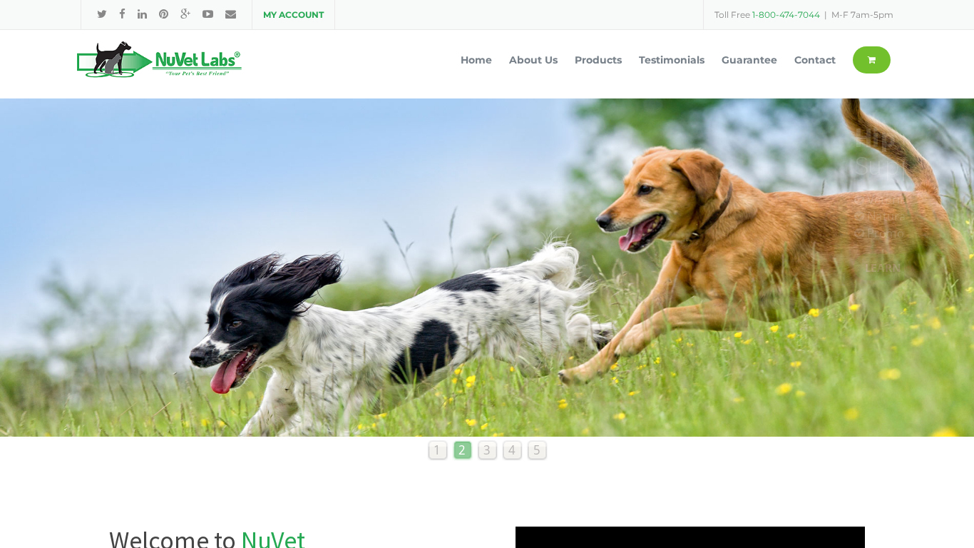 Program partnerski NuVet Labs