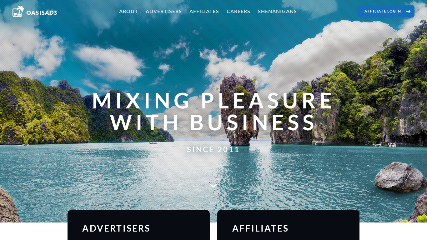 Program partnerski Oasis Ads Media