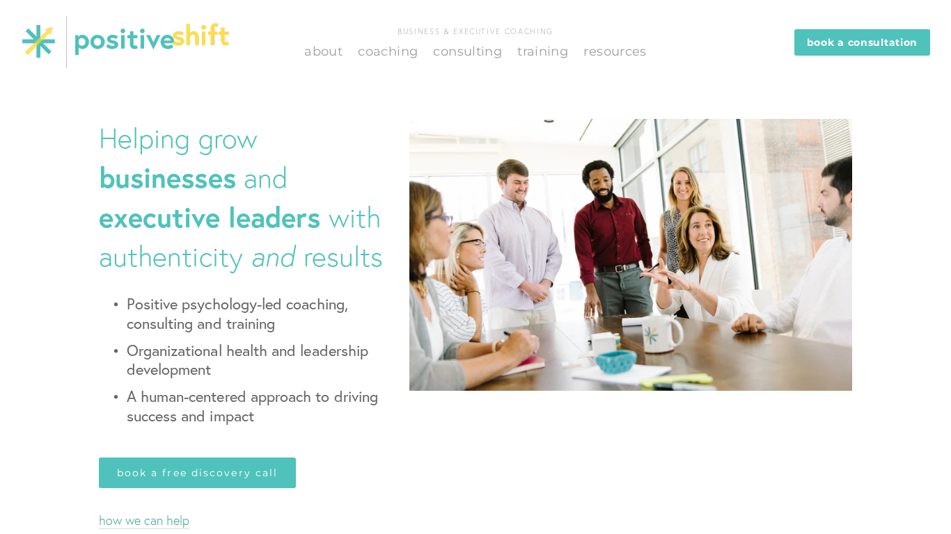 Program partnerski Positive Shift