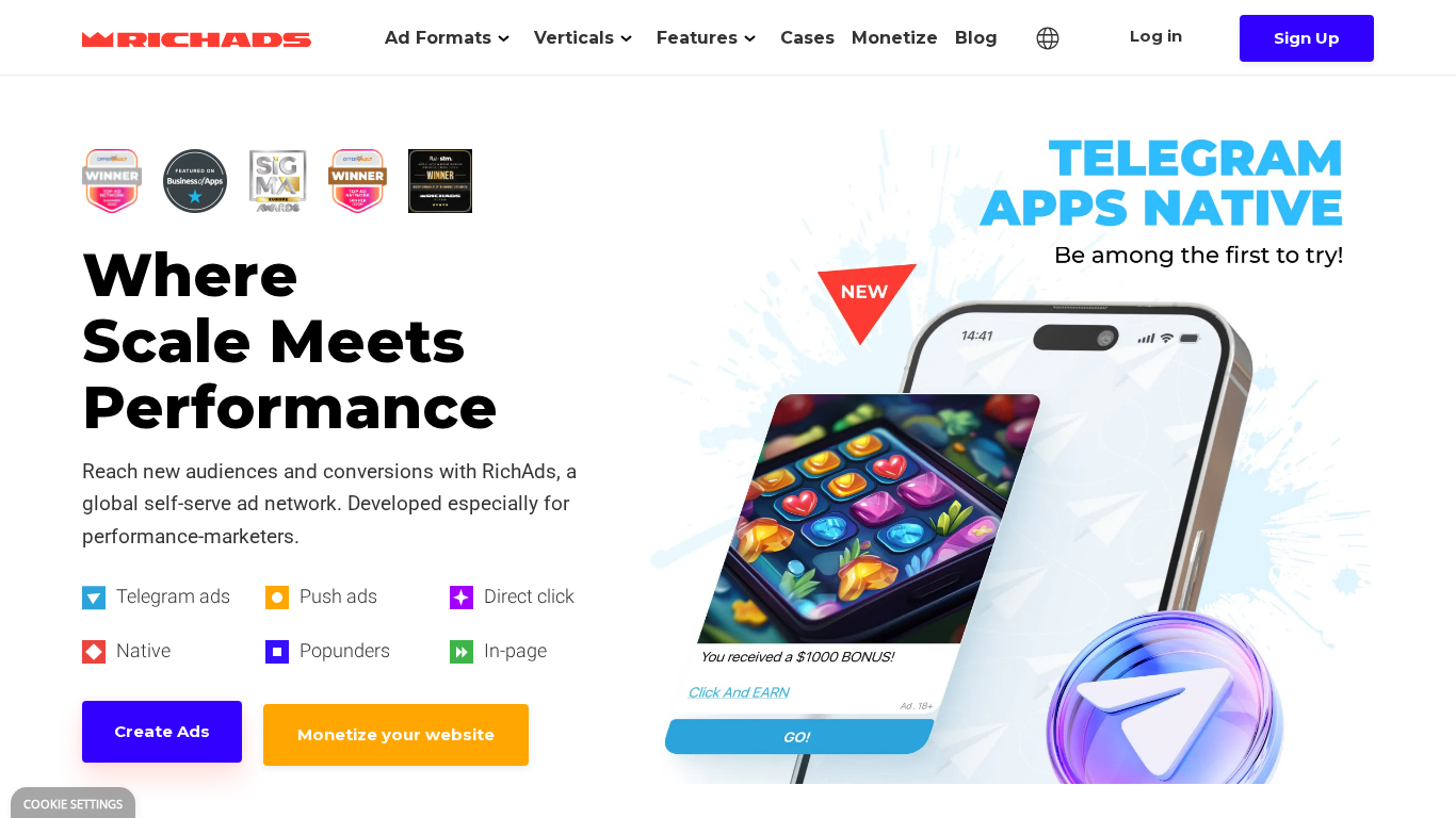 Program partnerski RichAds