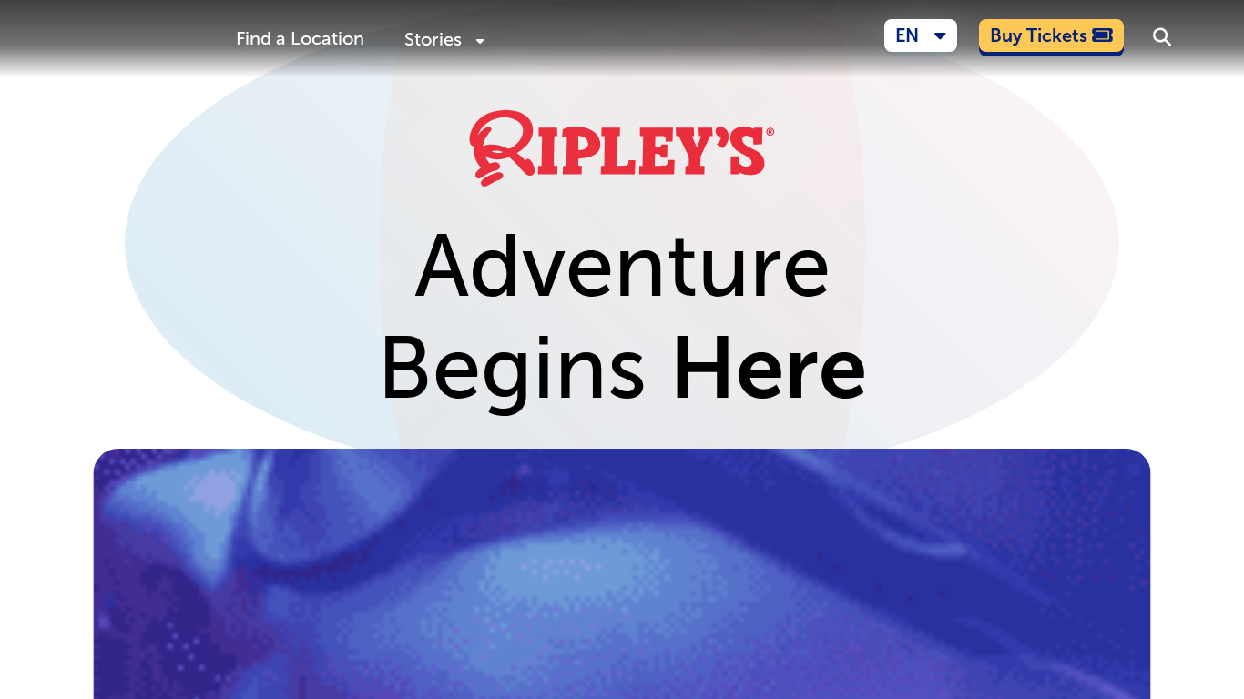 Program partnerski Ripley's