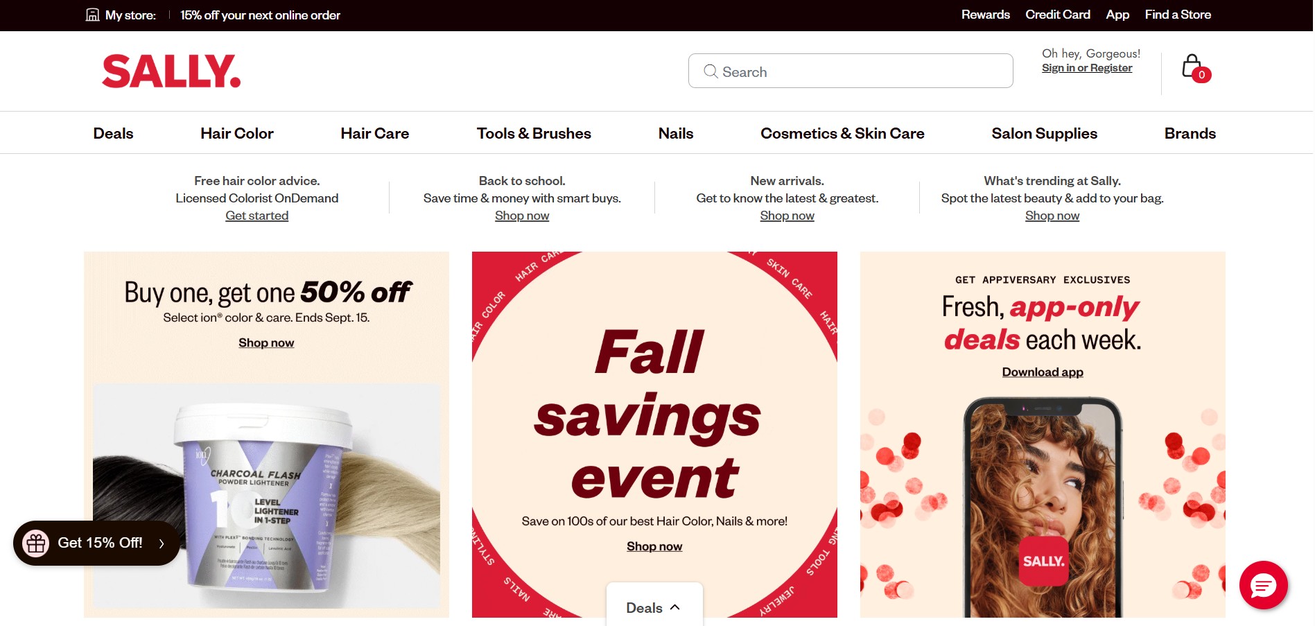 Program partnerski Sally Beauty