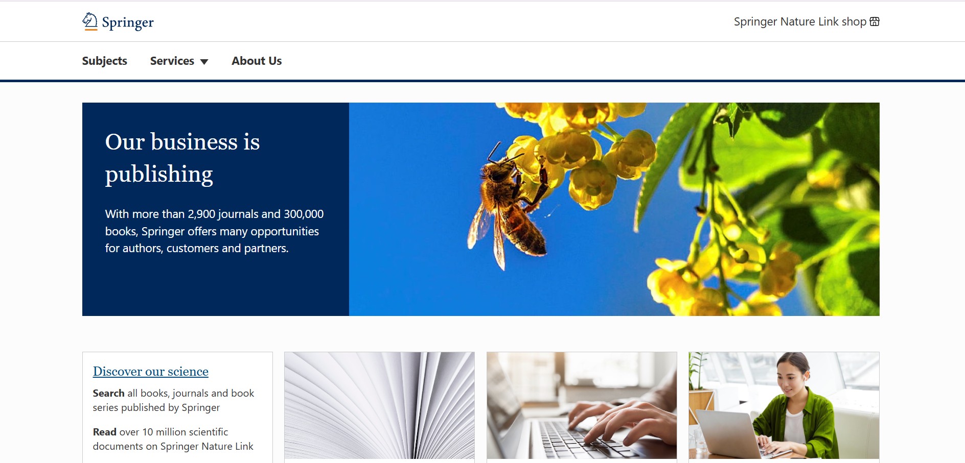 Program partnerski Springer