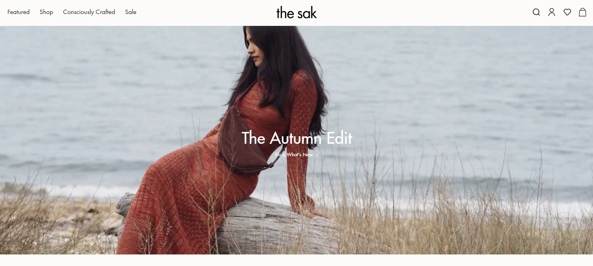 Program partnerski The Sak