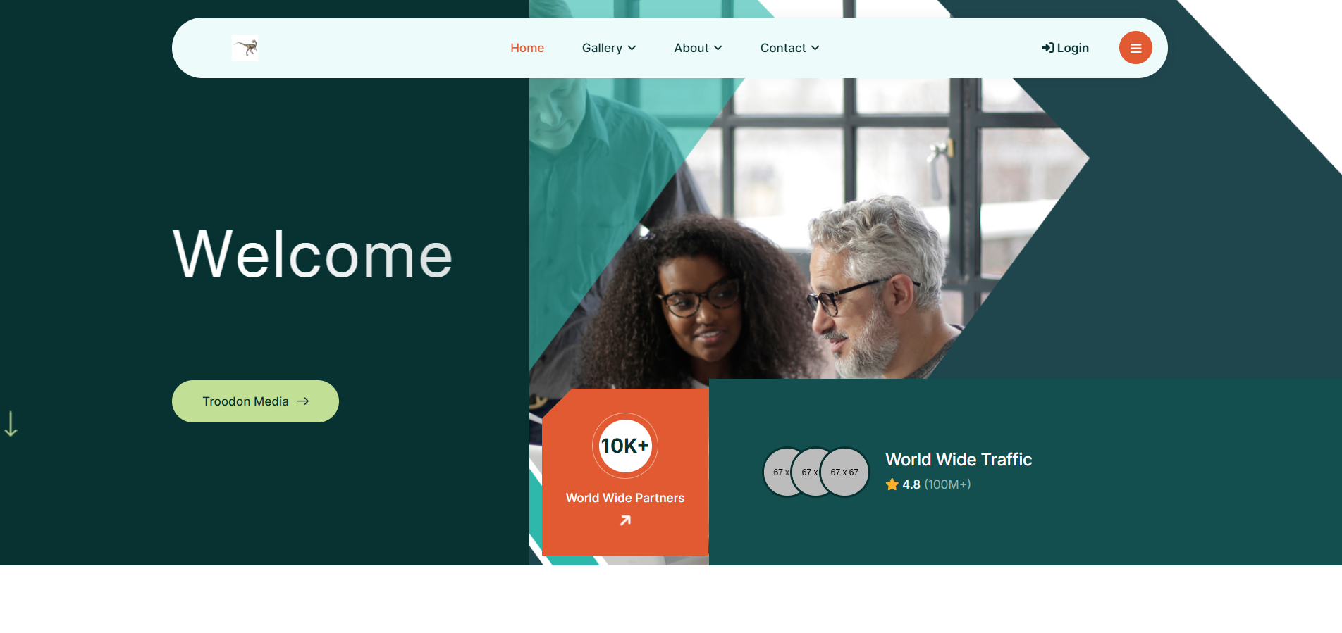 Program partnerski Troodon Media