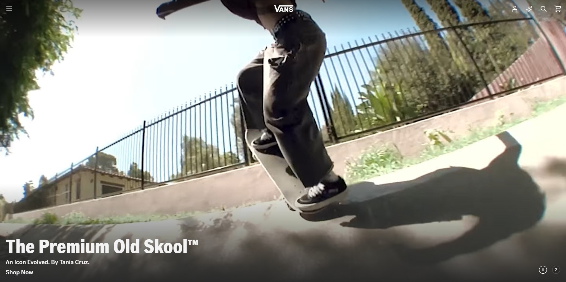 Program partnerski VANS