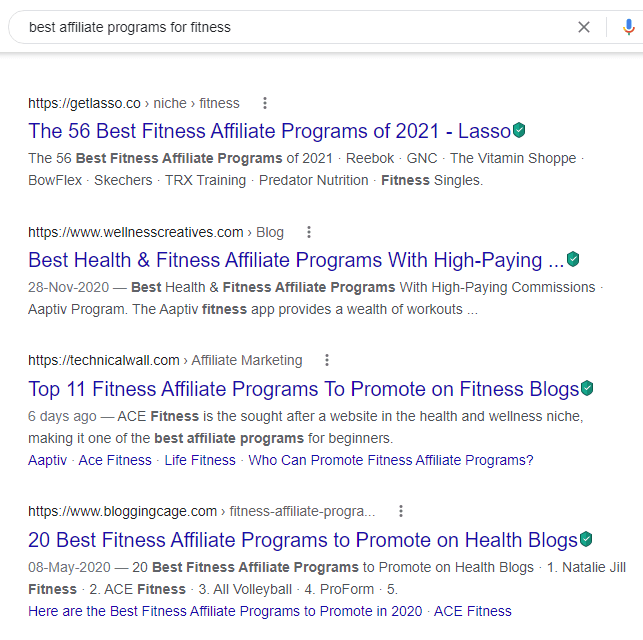 Google search for best affiliate programs for fitness