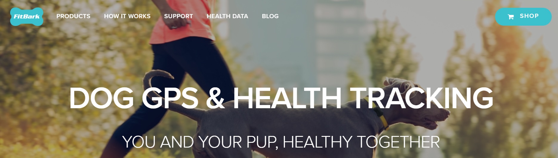 Zrzut ekranu strony Fitbark