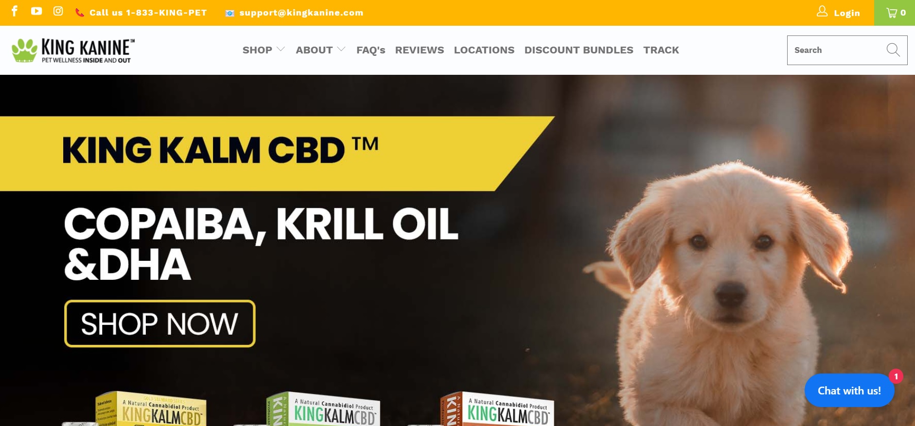 Zrzut ekranu strony King Kanine