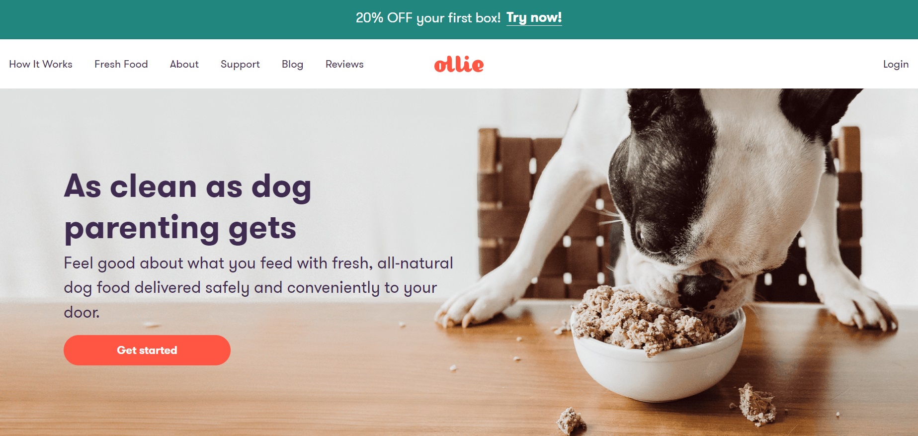 Zrzut ekranu strony Ollie