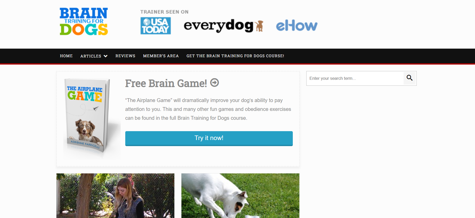 Zrzut ekranu strony Brain Training for Dogs