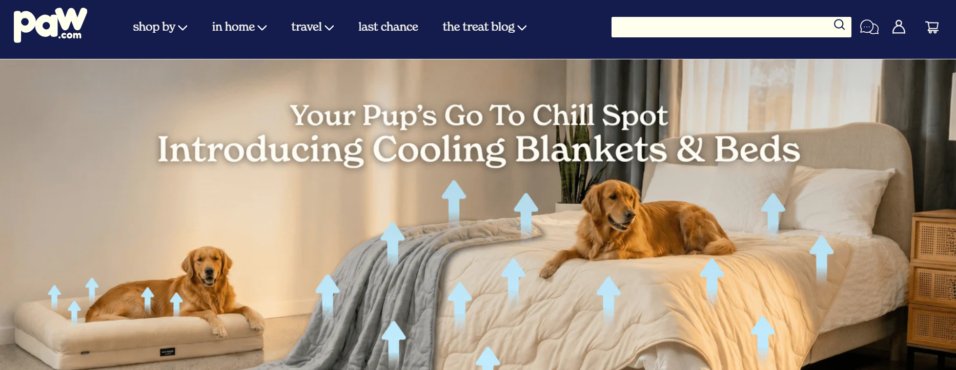 Zrzut ekranu strony Paw.com